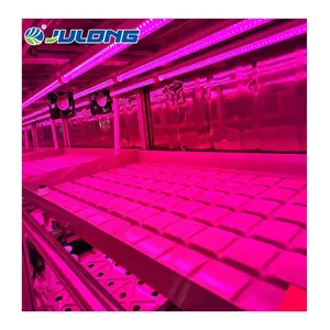 Hydroponic Growing Systems Greenhouse Smart Farm Grow Hydroponic Vertical Farming System 40ft Shipping Container Farm Greenhouse