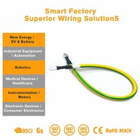 Câble de chargeur de véhicule électrique portable et réglable, faisceau de câblage 7 kW avec NACS et Type 1 pour la charge CA et l'utilisation en extension