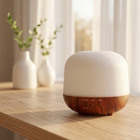 Diffuseur d'huiles essentielles de 250 ml avec lumière LED, diffuseur d'aromathérapie à ultrasons pour la maison, le bureau et l'hôtel