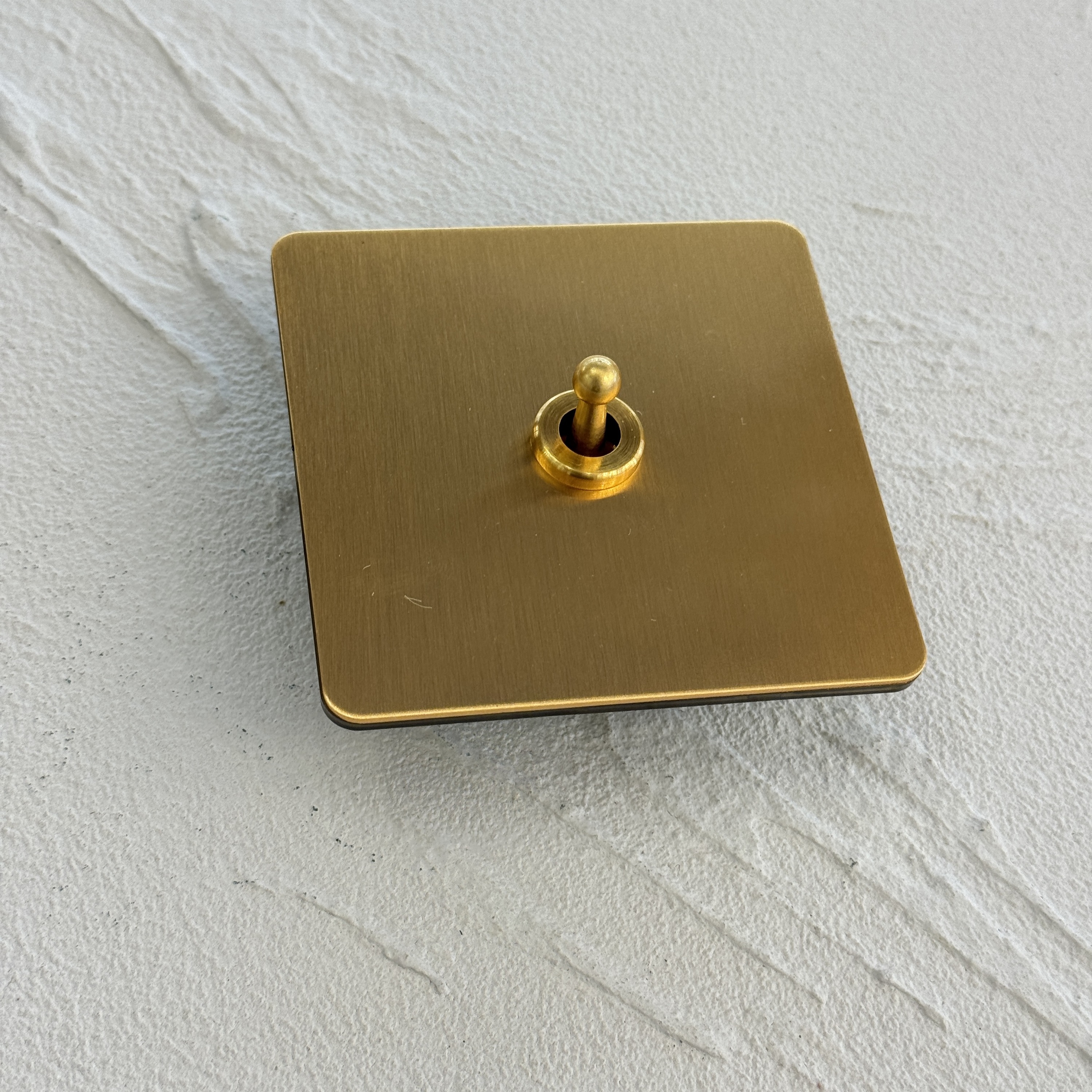 1 gang 2 way switch (toggle switch)