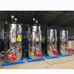 מחולל קיטור תעשייתי אנכי המופעל בגז, LPG או דיזל, בעל קיבולת של 200-250 קילוגרם, זמין למכירה - Product Image 4