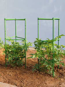 Cage de soutien pour plantes de tomates, structure grimpante en fer anti-chute, piquet multifonctionnel pour légumes, balcon et fleurs - Product Image 6