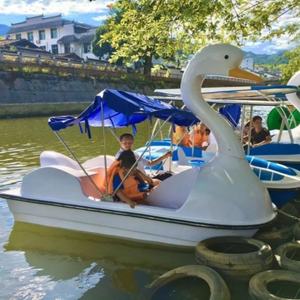 Bote de Pedales Comercial QIQU de 3.2m, Atractivo para Parques, Carga de 200kg, Alto Retorno de Inversión, Oportunidad Fotográfica, Alquiler - Product Image 3