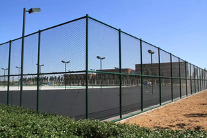 Clôture de stade sportif, terrain de basket-ball, treillis métallique, équipement d'éclairage écologique, anti-rongeurs, lampadaires, <span class=keywords><strong>devis</strong></span> disponibles à tout moment - Product Image 5