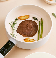 Casserole électrique polyvalente de 4 L avec fonction économie d'énergie, design simple pour usage domestique, hôtelier et cuisine de plein air raffinée