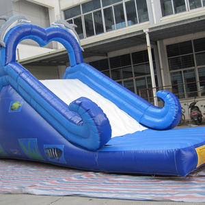 Tobogán acuático inflable doble con forma de delfín para alquiler en fiestas y diversión acuática infantil - Product Image 1