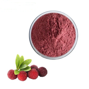 ヤマモモ（紅ヤマモモ、ワックスベリー、ベイベリー）の果実粉末 - Product Image 2