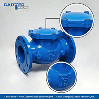 Clapet anti-retour à ressort en fonte ductile GGG50 WCB à bride, protection contre le choc hydraulique pour pompes d'alimentation en eau et drainage, DIN3356