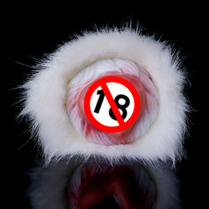 Geeeba पशु कुत्ते पुरुष हस्तमैथुन फर सिलिकॉन के साथ हस्तमैथुन समलैंगिक सेक्स खिलौना - Product Image 3