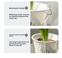P412 Pot de fleurs auto-arrosant transparent à motif glacier, sans arrosage requis, pour narcisses