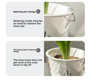 Maceta Transparente con Patrón Glaciar P412, Autorriego, Sin Necesidad de Regar, Maceta Hidropónica para Narcisos - Product Image 4