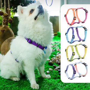 Fabricante, precio al por mayor, lujo, superventas, moda personalizada, <span class=keywords><strong>collar</strong></span> de nailon para perro, correa, arnés, productos para mascotas, característica acolchada - Product Image 1