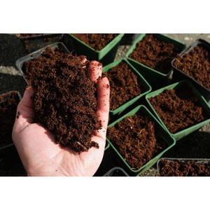 Amélioration naturelle du sol Tourbe de mousse de mer Marque personnalisée KG Origine pour le développement des racines Gestion de l'humidité Jardinage durable - Product Image 5