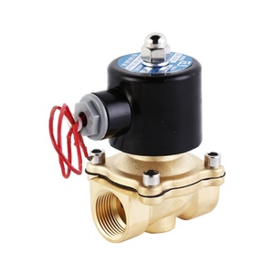 Vanne solénoïde électrique normalement fermée série 2W en laiton 220V 24V 12V avec filetage G/NPT Nouvelle Hofujng - Product Image 6