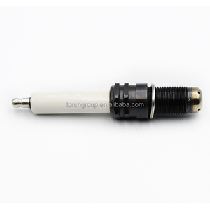 7664604 7664375 7664416 การผลิตหัวเทียนสำหรับ HGM560 SFGM560 Torch R6GC1-77L - Product Image 3