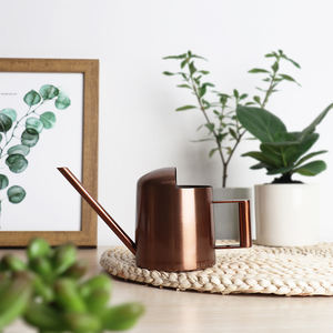 300 मिलीलीटर बगीचे उपकरण पानी के फूल स्टेनलेस स्टील सैटिन धातु प्राचीन तांबे मिनी पानी कर सकते हैं - Product Image 4