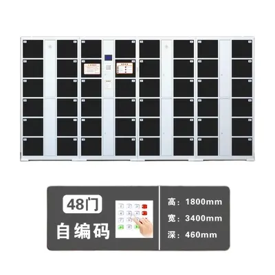 Customized Small Intelligent Electronic Locker Steel Fingerprint Beach Cabinet Smart System Digital Metal Gym Locker