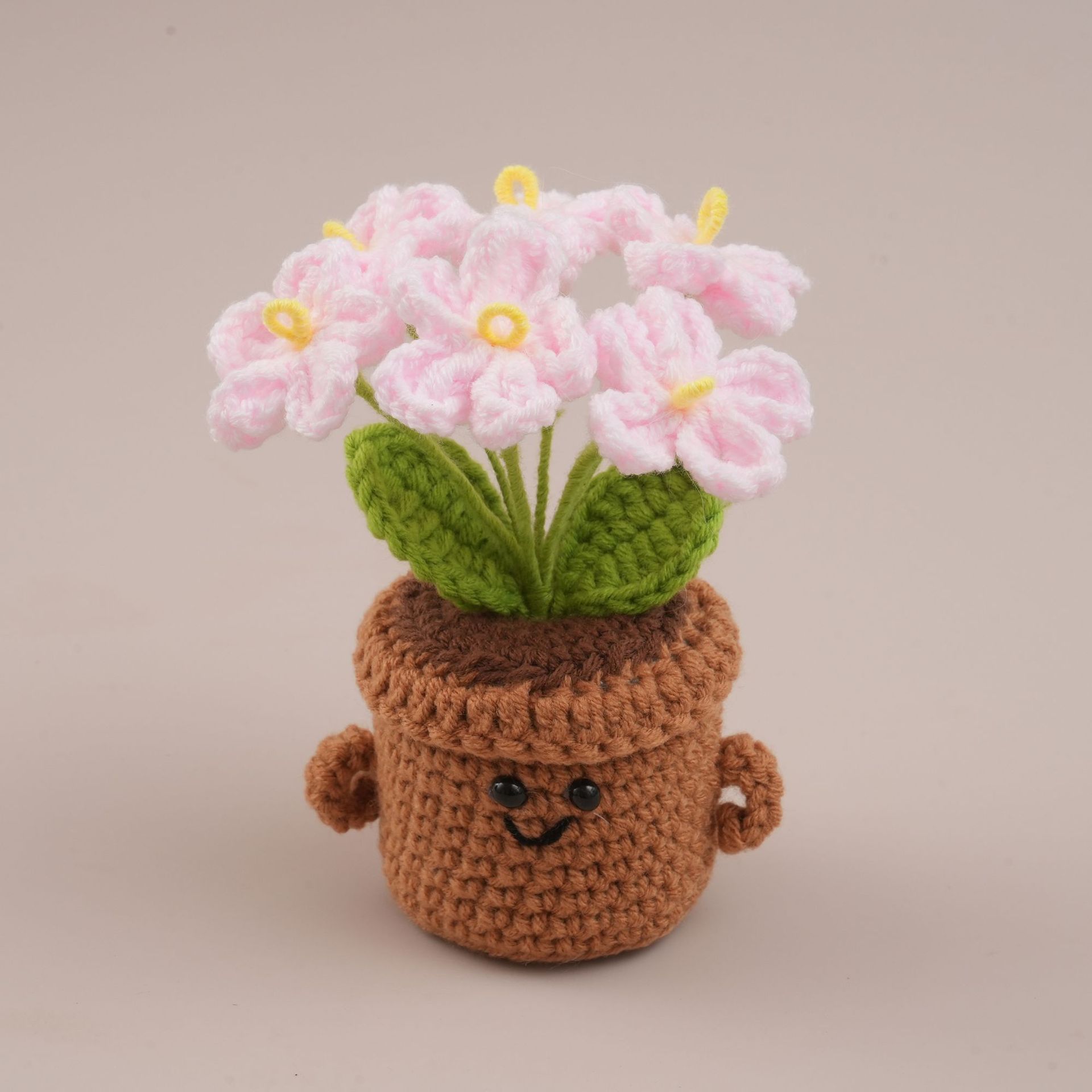 Forget-me-not potted plant
