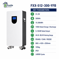 51,2V 300Ah 15,36kWh Vertikale LiFePO4-Batterie auf Rädern 5,12kW Ausgangsleistung Smart BMS RS485 CAN RS232 IP21 6000 Zyklen für Privathaushalte