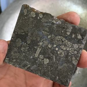 Matière première de marcassite naturelle pour la fabrication de bijoux, couleur argent, prix de gros usine - Product Image 2