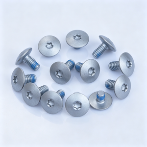 Precision Machined Carbon Steel Torx <b>Big</b> <b>Pan</b> Head Shoulder Screw, Thread Lock Coating Anti Vibration Screw - Product Image 6