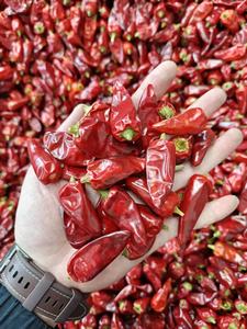 <span class=keywords><strong>Piment</strong></span> Chili Entier Naturel Séché AD avec SHU Personnalisé, Sans Additifs et Emballage d'Exportation - Product Image 4