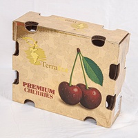 Boîte d'emballage en carton ondulé spécial pour cerises de qualité supérieure, transport frais des fruits, boîte d'emballage en papier respirant spécial