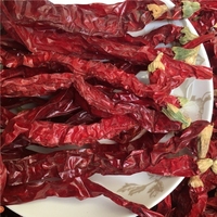 Piment rouge séché Erjingtiao de qualité supérieure en vrac, fourni par l'usine, à haute teneur en capsaïcine, faible humidité, 10% d'huile de piment, Hebei, sans additifs