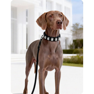 Bling Rhinestone Elegant Durable <b>Dog</b> <b>Collar</b> Leash Set Luxury PU Leather Small Medium <b>Dogs</b> Adjustable Soft Padded Neck Strap - Product Image 2