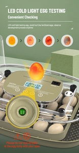 WONEGG 24-48 tourneur automatique petit incubateur d'oeufs de volaille en plein air <span class=keywords><strong>couveuse</strong></span> <span class=keywords><strong>couveuse</strong></span> d'oeufs de caille - Product Image 3