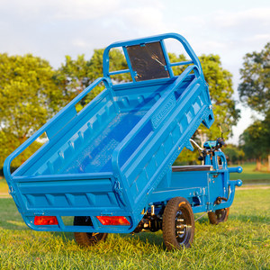 Electric Three-Wheeled Cargo Tricycle Open Body 1000W Power 50-70km/h Speed Household Agricultural Use - Product Image 1