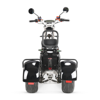 Scooter Eléctrico de Tres Ruedas con Llantas Anchas 2026, 3 Ruedas, Gran Potencia 4000W, Plegable, Batería de Litio Impermeable, Cargobike