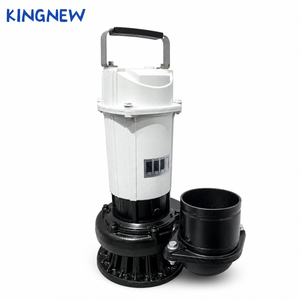 <span class=keywords><strong>Pompe</strong></span> solaire submersible QDX, <span class=keywords><strong>pompe</strong></span> à eau solaire DC <span class=keywords><strong>pour</strong></span> puits domestiques et irrigation agricole - Product Image 2