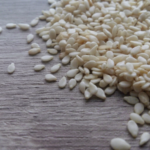 Semillas de sésamo blanco natural para exportación - Product Image 1