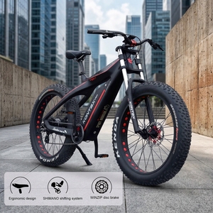 Bicicleta Deportiva de Fibra de Carbono en Oferta, 48v 750w, Batería Integrada, Frenos de Disco Mecánicos, Neumáticos Anchos, Motor de Alta Potencia de 750w - Product Image 1