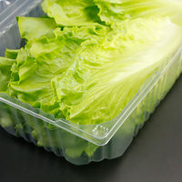454g 2 têtes de produits frais Emballage sous blister à clapet Boîte d'emballage de laitue pour supermarché Emballage de laitue à clapet en plastique