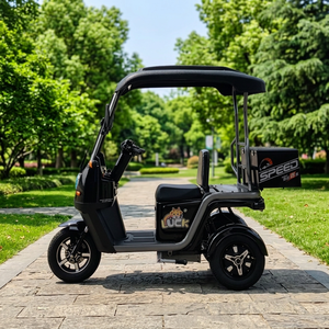 Triciclo Eléctrico con Techo Rígido, Protección Contra Sol y Lluvia, para Servicio de Transporte Comunitario, Uso en Pedidos al por Mayor - Product Image 1