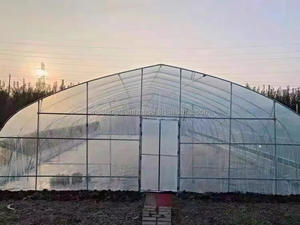 Cerceau agricole cadre en acier Tunnel vert maison Structure <span class=keywords><strong>serre</strong></span> 8*30M hauteur <span class=keywords><strong>3M</strong></span> pour la vente <span class=keywords><strong>de</strong></span> conteneurs complets - Product Image 6