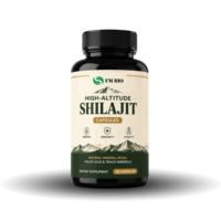 Capsules végétaliennes de Shilajit de l'Himalaya avec acide fulvique, soutien énergétique et immunitaire, OEM ODM Marque privée 60/90/120 unités