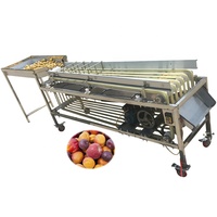 Beste Automatische Groente-en Sorteermachine Data Jujube Datum Palm Sorteren Machine
