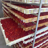 Volautomatische Mango Abrikoos Druiven Fruit En Groente Droger Gedroogde Vruchten Rozijnen Wasdroger Machine Productielijn