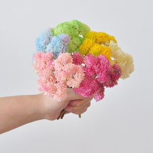 Plantes artificielles succulentes Miyazuki en résine souple pour micro-paysages, idéales pour la décoration de mariages, maisons et hôtels - Product Image 3