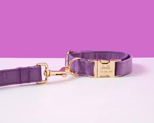 Juego de lazo morado y de plomo, lazo personalizado Veet, Collar personalizado, collar pequeño, collar de perro cachorro - Product Image 2