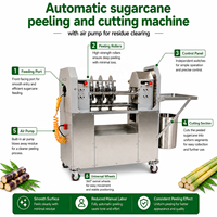 Industriële suikerrietenschilmachine 1500W Automatische rietschiller voor fruitwinkels en drankenwinkels