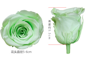 Rosas <span class=keywords><strong>Preservadas</strong></span> Naturales al por Mayor de Fábrica de Kunming, Cabezas de Rosas <span class=keywords><strong>Preservadas</strong></span> y Estabilizadas - Product Image 4