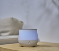 Mini diffuseur de parfum USB 80ML à lumière LED de bureau Mini diffuseur d'humidificateur d'huile essentielle à brume froide Diffuseur d'arôme à flamme domestique