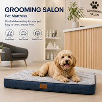 Matelas rafraîchissant en silicone respirant et antidérapant pour animaux de compagnie, idéal pour le salon, doux, interactif, confortable pour les voyages, pour chiens