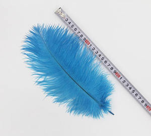 Plume blanche 25-30 cm (10-12 pouces) bricolage coloré <span class=keywords><strong>moelleux</strong></span> petite plume d'autruche décorative à vendre <span class=keywords><strong>pas</strong></span> <span class=keywords><strong>cher</strong></span> - Product Image 4