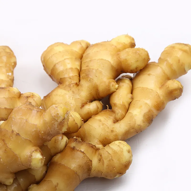 Super quality Chinese fresh ginger