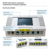 Appareil d'électromoxibustion portable HB-WZ1 à 6 canaux pour la physiothérapie